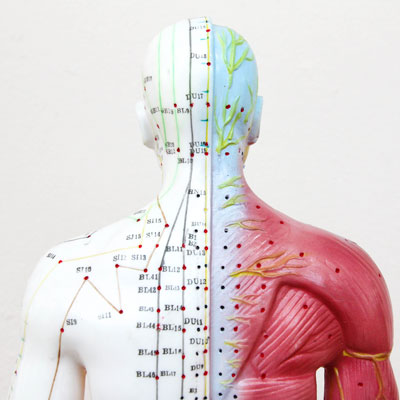 The Real Benefits of Acupuncture: Debunking Myths and Exploring the Science